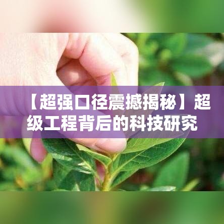 【超强口径震撼揭秘】超级工程背后的科技研究与创新突破，一探究竟！